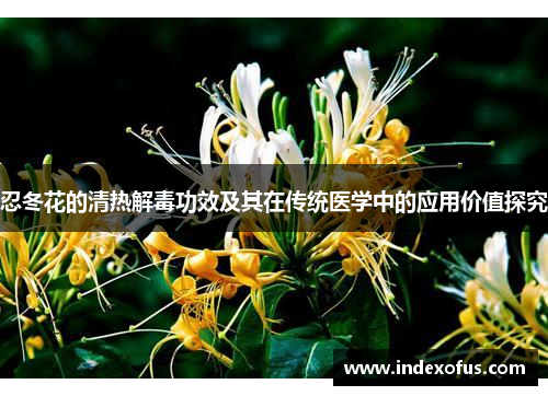 忍冬花的清热解毒功效及其在传统医学中的应用价值探究 忍冬花的清热解毒功效及其在传统医学中的应用价值探究