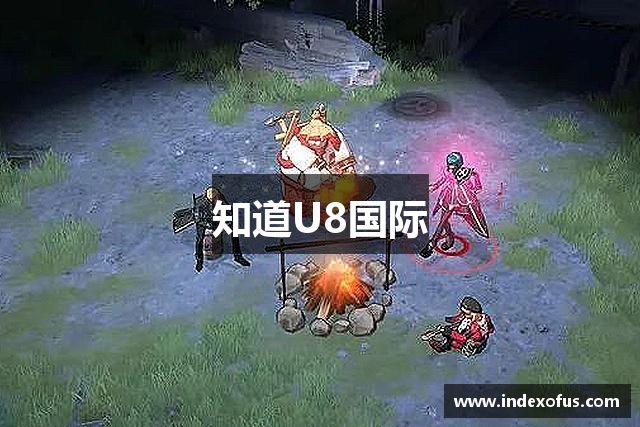 知道U8国际